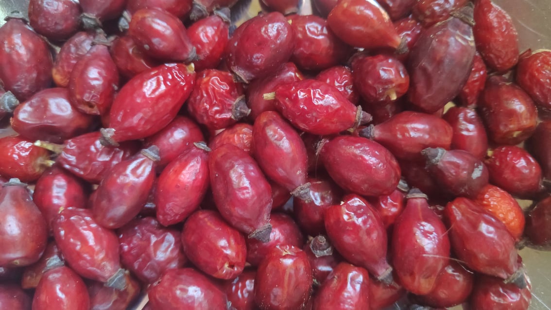 Les cynorrhodons, bombes de vitamine C