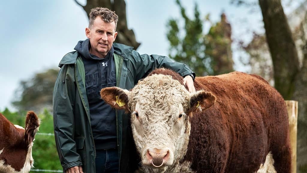 Nigel Owens s’est reconverti dans l’agriculture avec ses troupeaux de vaches Hereford près de Pontyberem