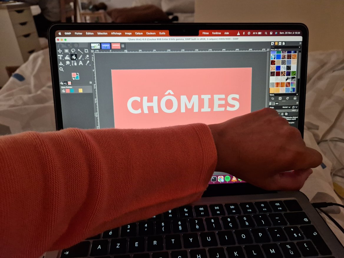 Thon sur Thon ou Saumon sur Saumon...à la semaine prochaine !