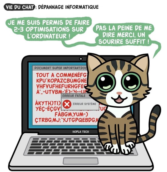 image @littlecatschronicles