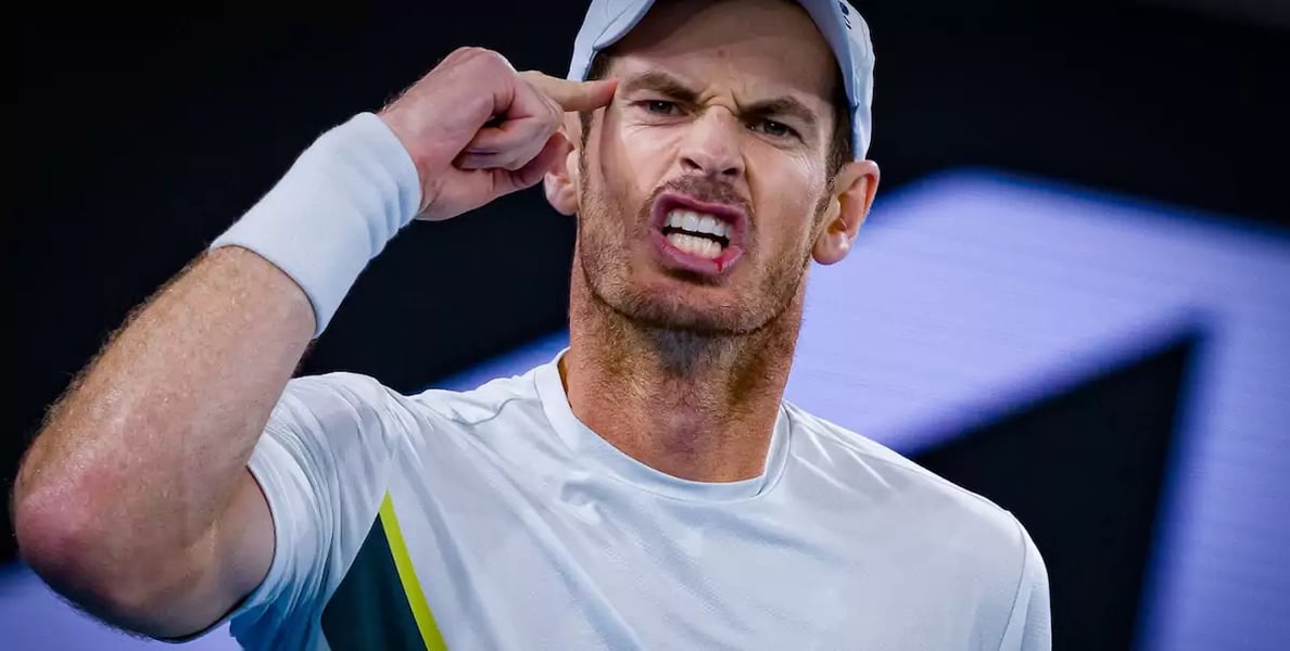 Y en a là dedans, c'est certain. Il faut adorer Sir Andy Murray s'il vous plaît.