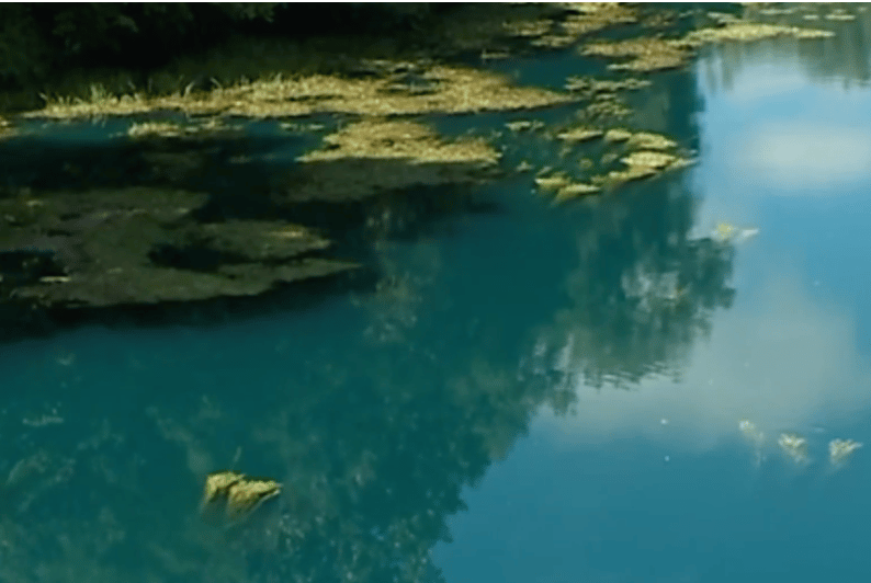 Photo prise en 2017 montrant la pollution de la rivière suite à une fuite de colorant bleu. 