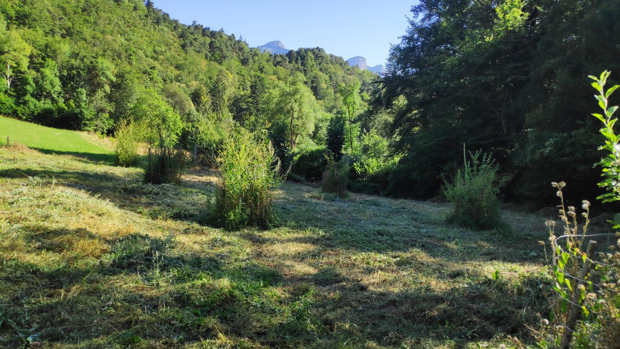 Après le débroussaillage