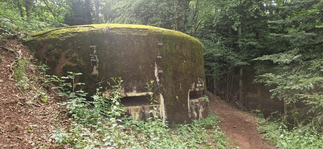 Bunker dans la forêt des Vosges