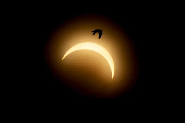 Éclipse solaire au Danemark, au fjord de Mariager, le mercredi 12 août 2026. © Photo par BO AMSTRUP / RITZAU SCANPIX / RITZAU SCANPIX VIA AFP