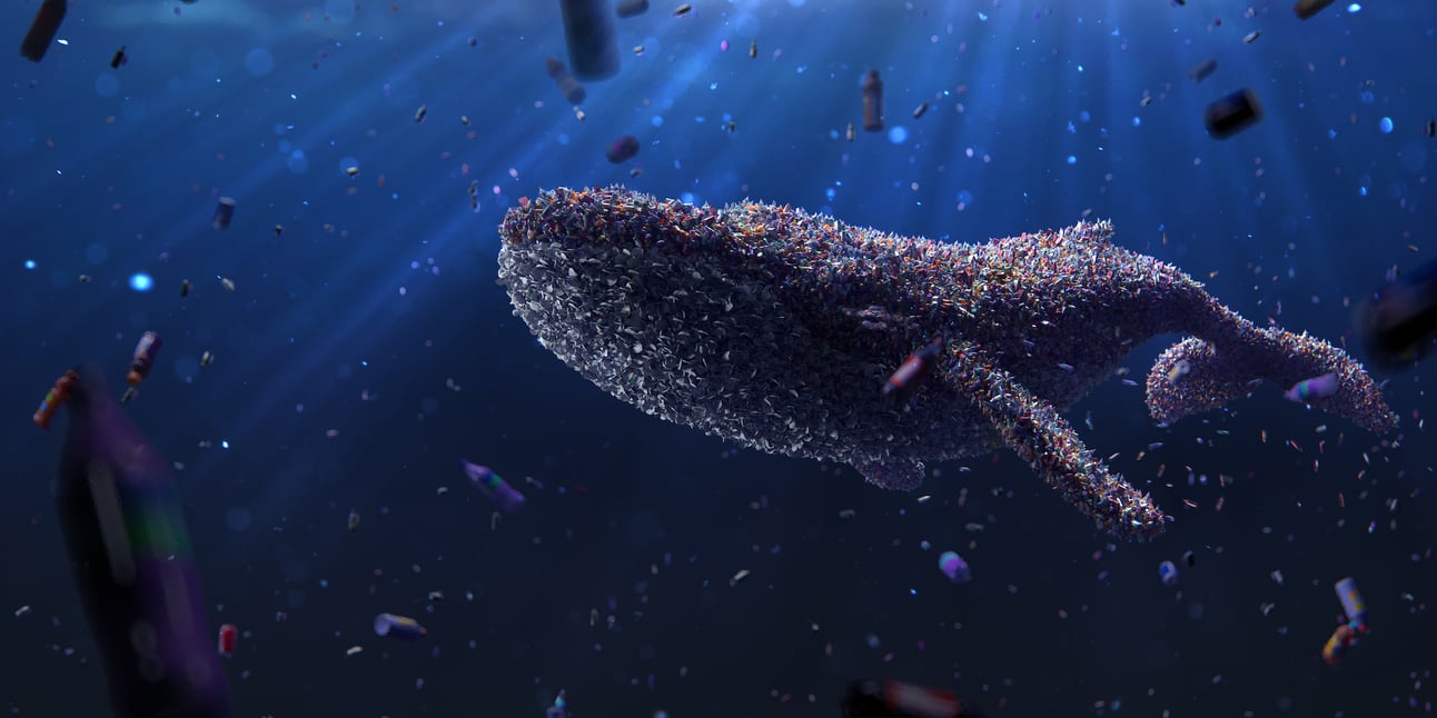 Une baleine piégée dans une mer de plastique. Crédit : Shutterstock