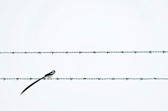 « Fueling Resilience » ©Benjamin SMAIL - WPNA 2025