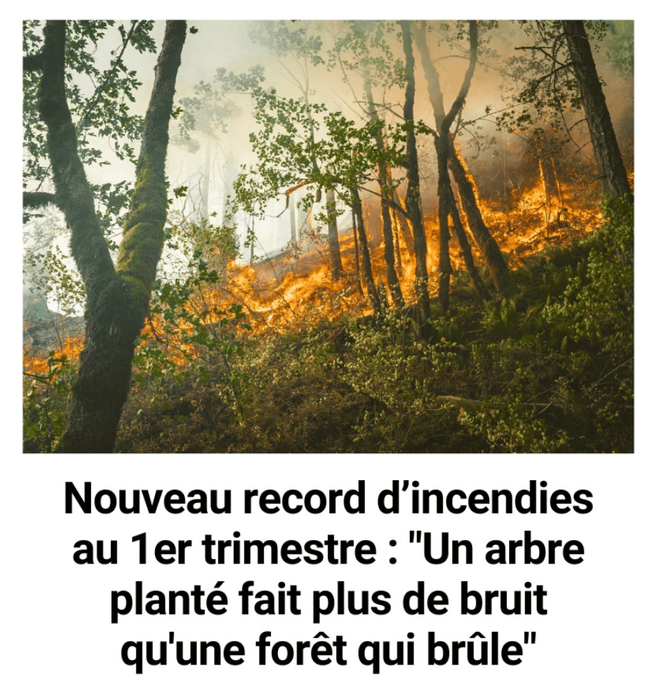 Du média satirique Malheurs Actuels