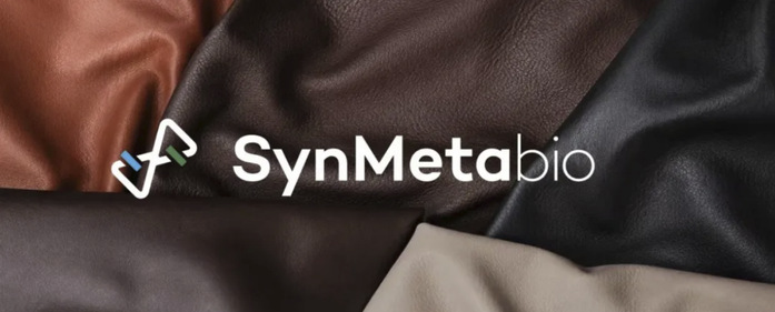 © SynMetabio