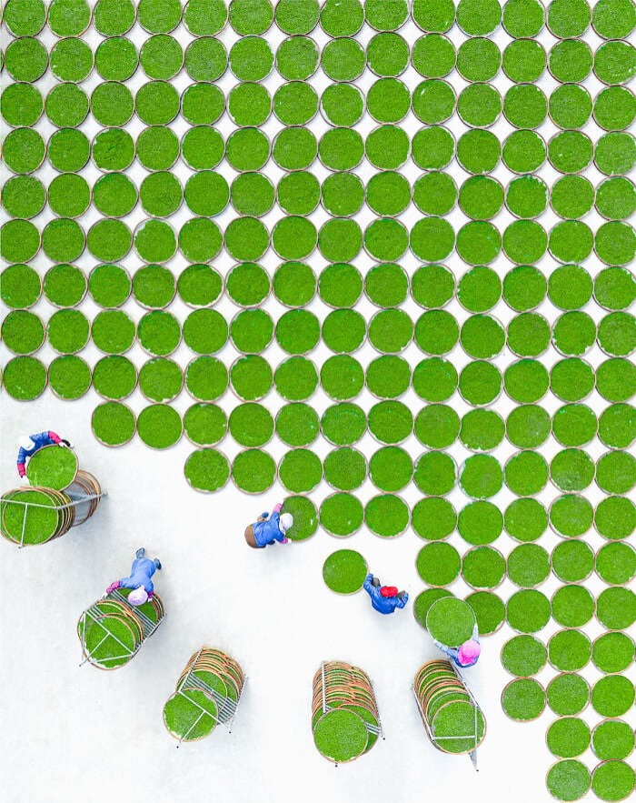  « Temps du Charme du Thé » ©Guanhua Ren - Chromatic Awards