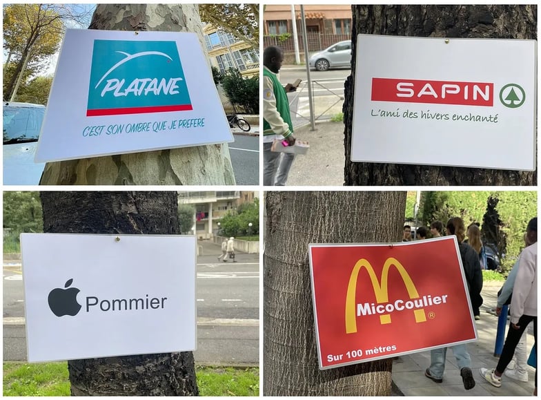 L’artiste Toolate a récemment dénoncé, aux abords des écoles et parcs de Nice, le fait que les enfants connaissent mieux les marques que les arbres.
