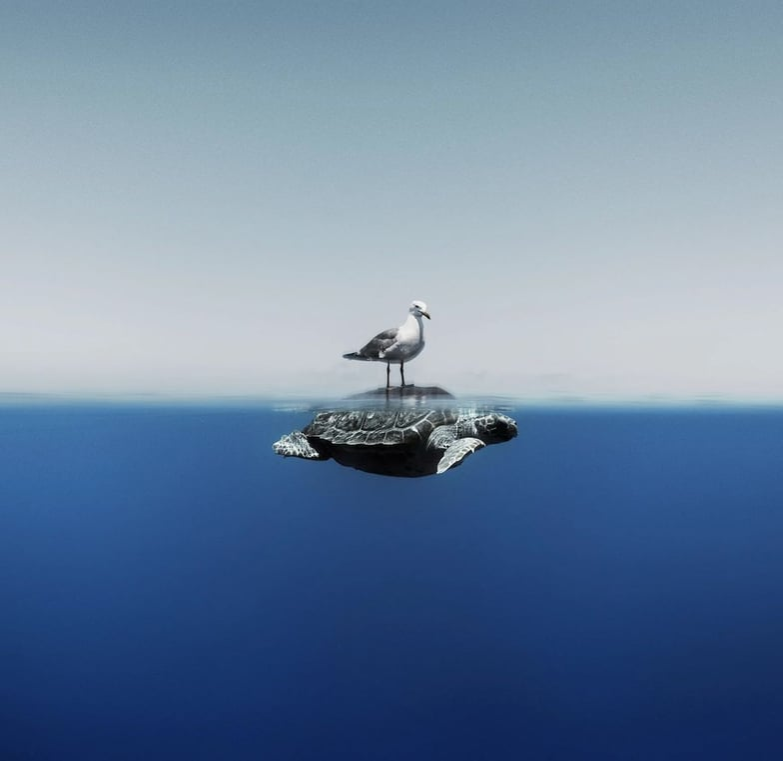 © Enric Gener