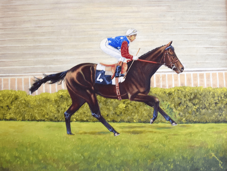 Casaque bleue, étoiles blanches, manches rouges et toque blanche, aux couleurs d'un propriétaire belge. ©Travail personnel d'Albert "Bob" Demuyser.