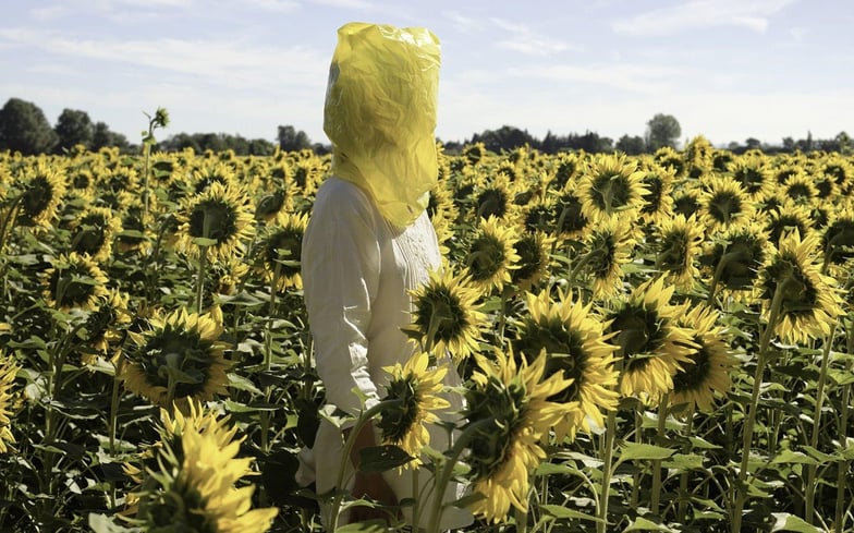 Elina BROTHERU Gelbe Musik with Sunflowers 2016. Photo gbagency ©AdagpParis2025