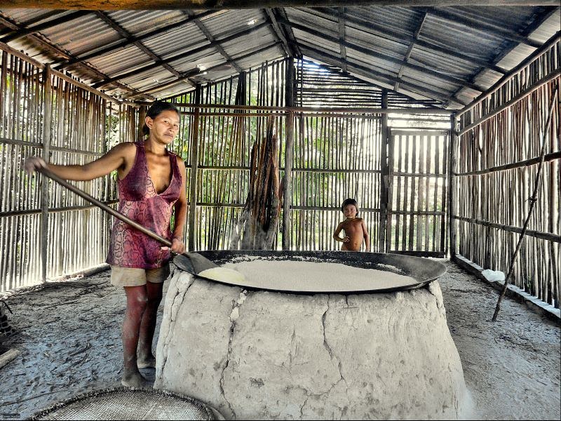 Femme du peuple Tukano préparant de la farine de Manioc près du Rio Negro. (c) Paulo Cortes 