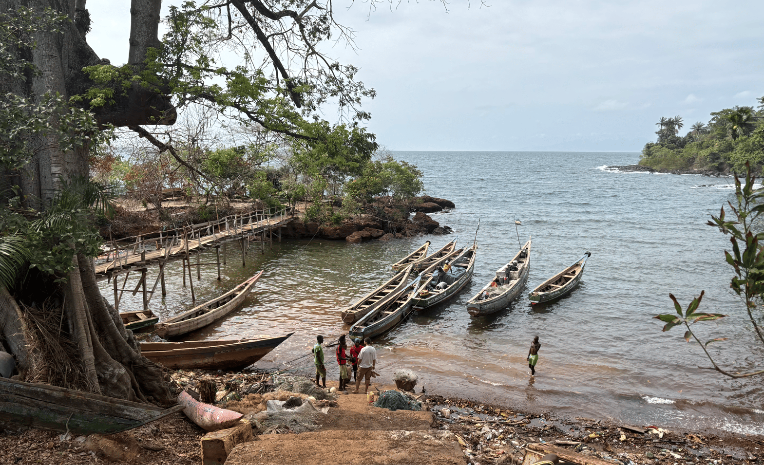 Ricketts, Sierra Leone. 