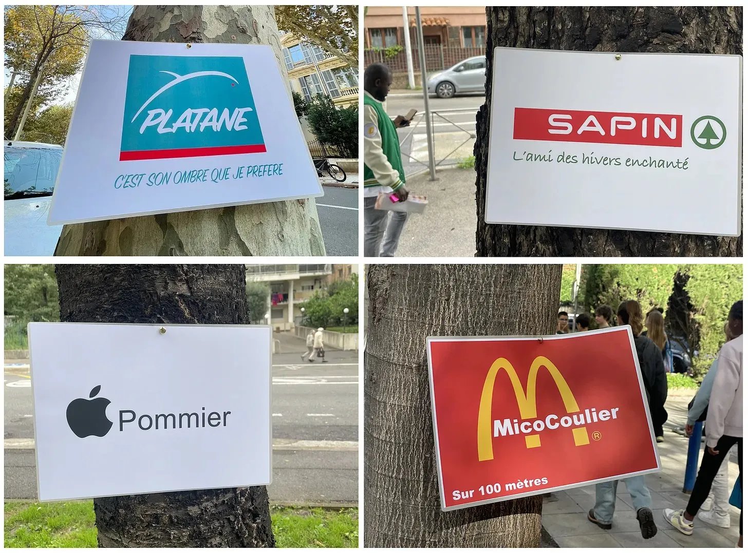 L’artiste Toolate a récemment dénoncé, aux abords des écoles et parcs de Nice, le fait que les enfants connaissent mieux les marques que les arbres.