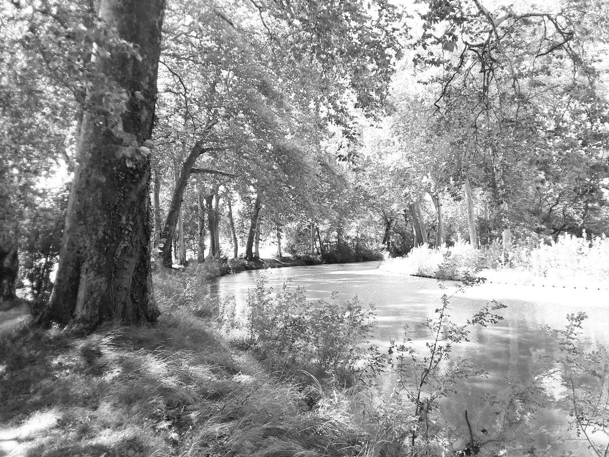 Photo © La Gazette Libre du Lauragais