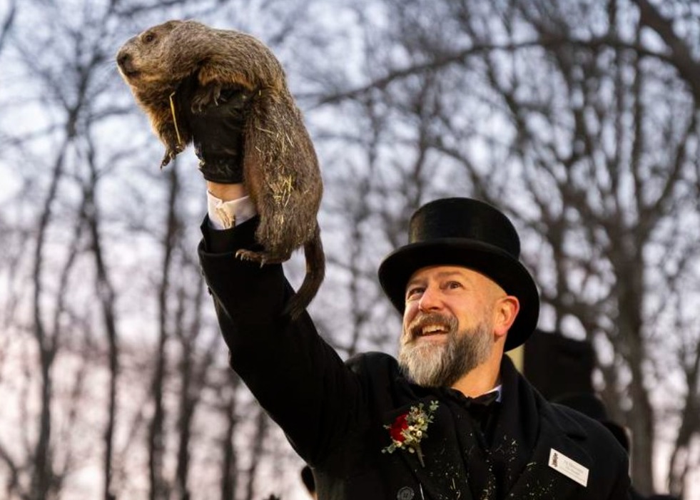Chaque année, la marmotte Phil est sortie de son terrier après une cérémonie complexe, spectacle maintenant habituel dont les habitants de Punxsutawney ne semblent pas se lasser.
