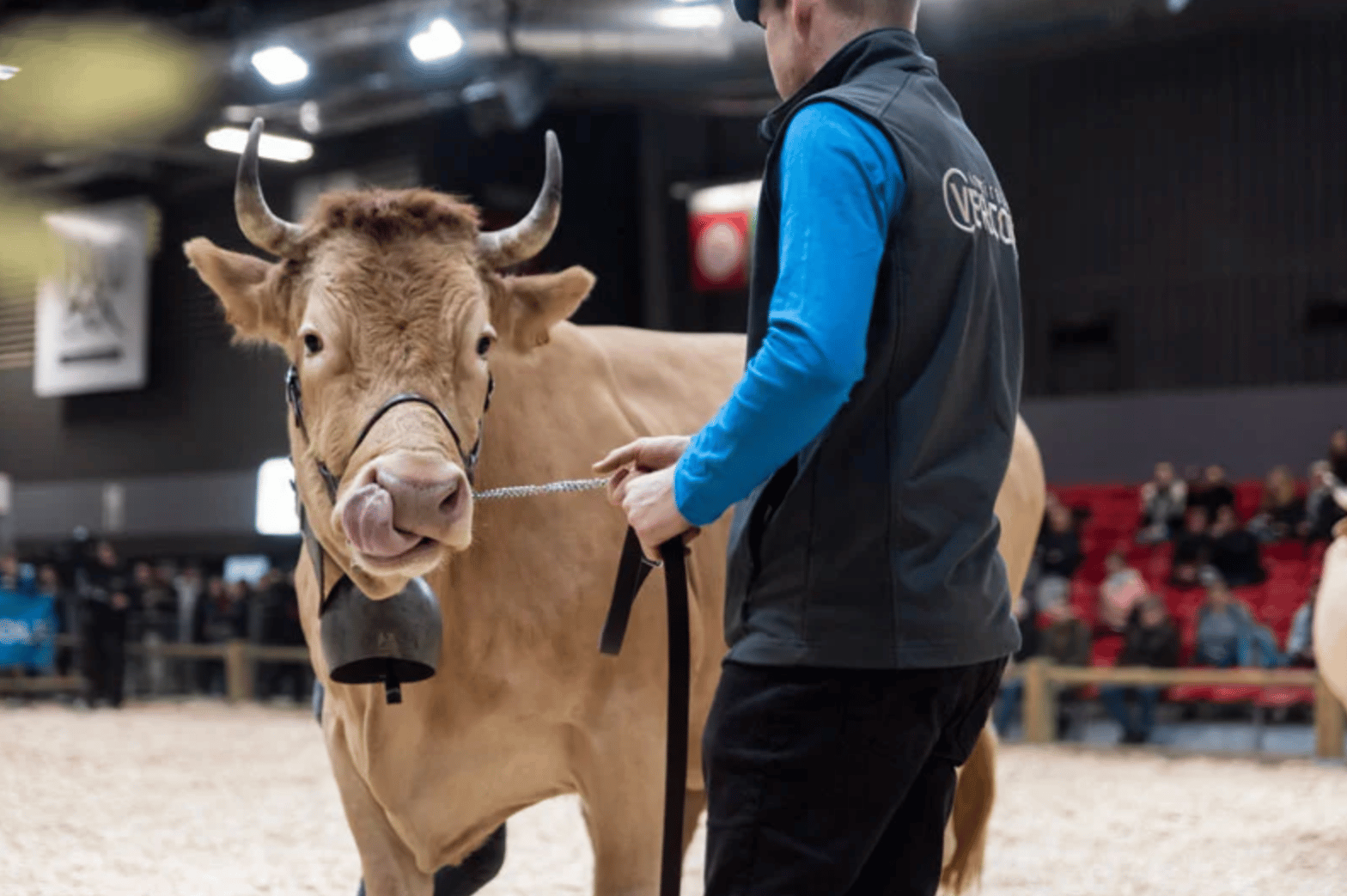 Le Salon International de l’Agriculture aura lieu sans vaches cette année à cause de l’épizootie de DNC. - © Salon International de l’Agriculture