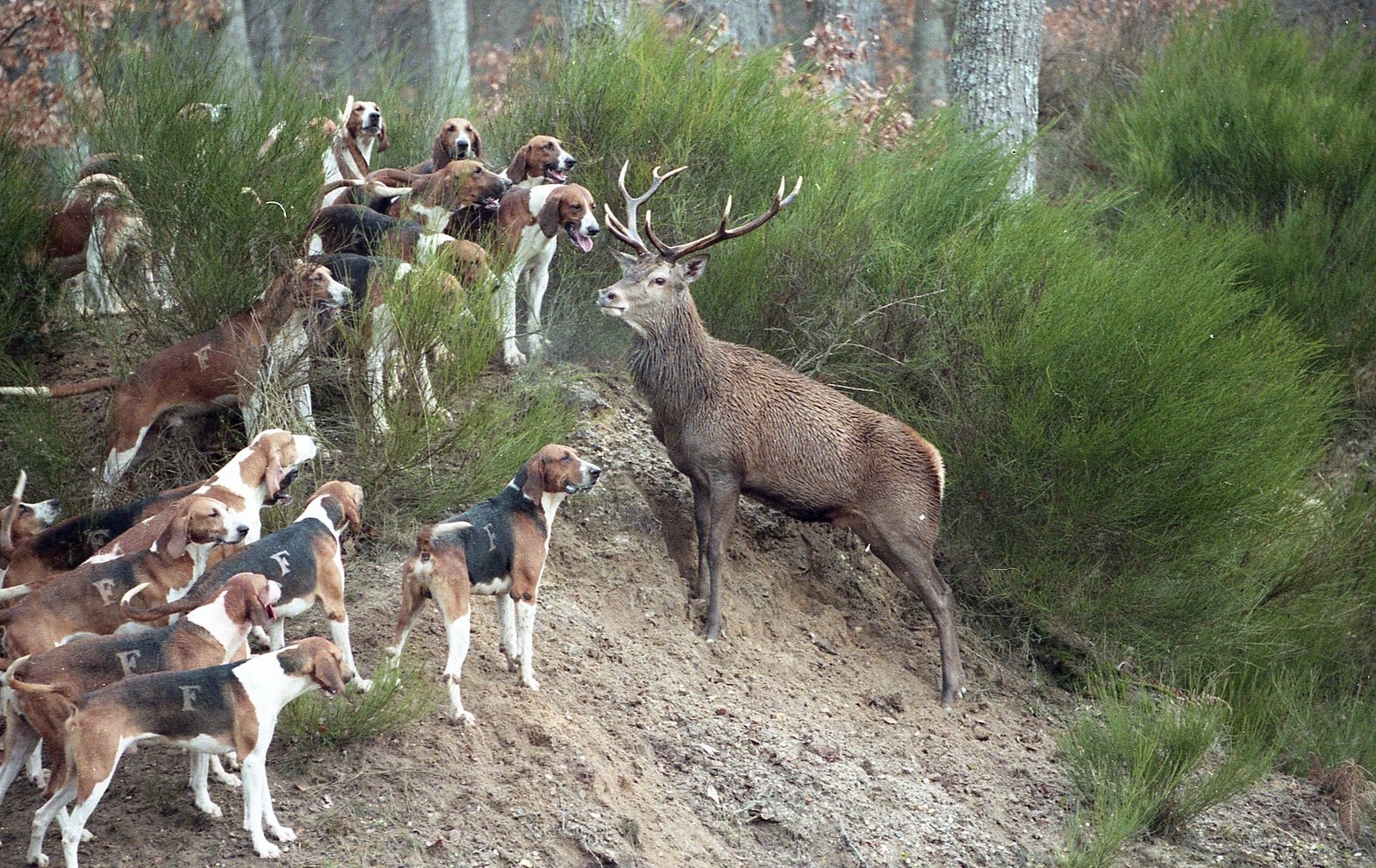 AVA a lancé une pétition pour demander le retrait immédiat de la bâche. © FBB