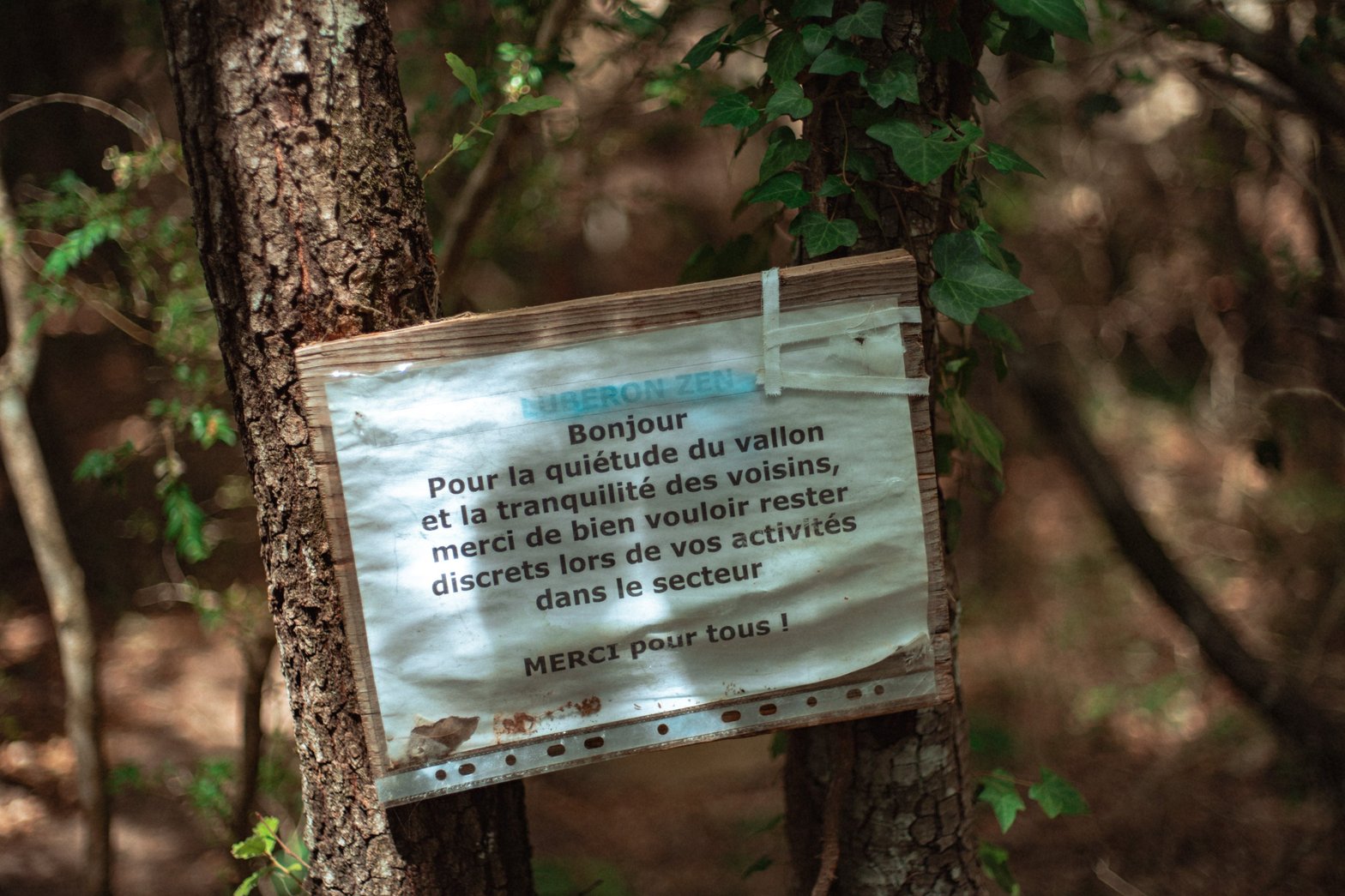 Crédit photo : Sylvain Paley