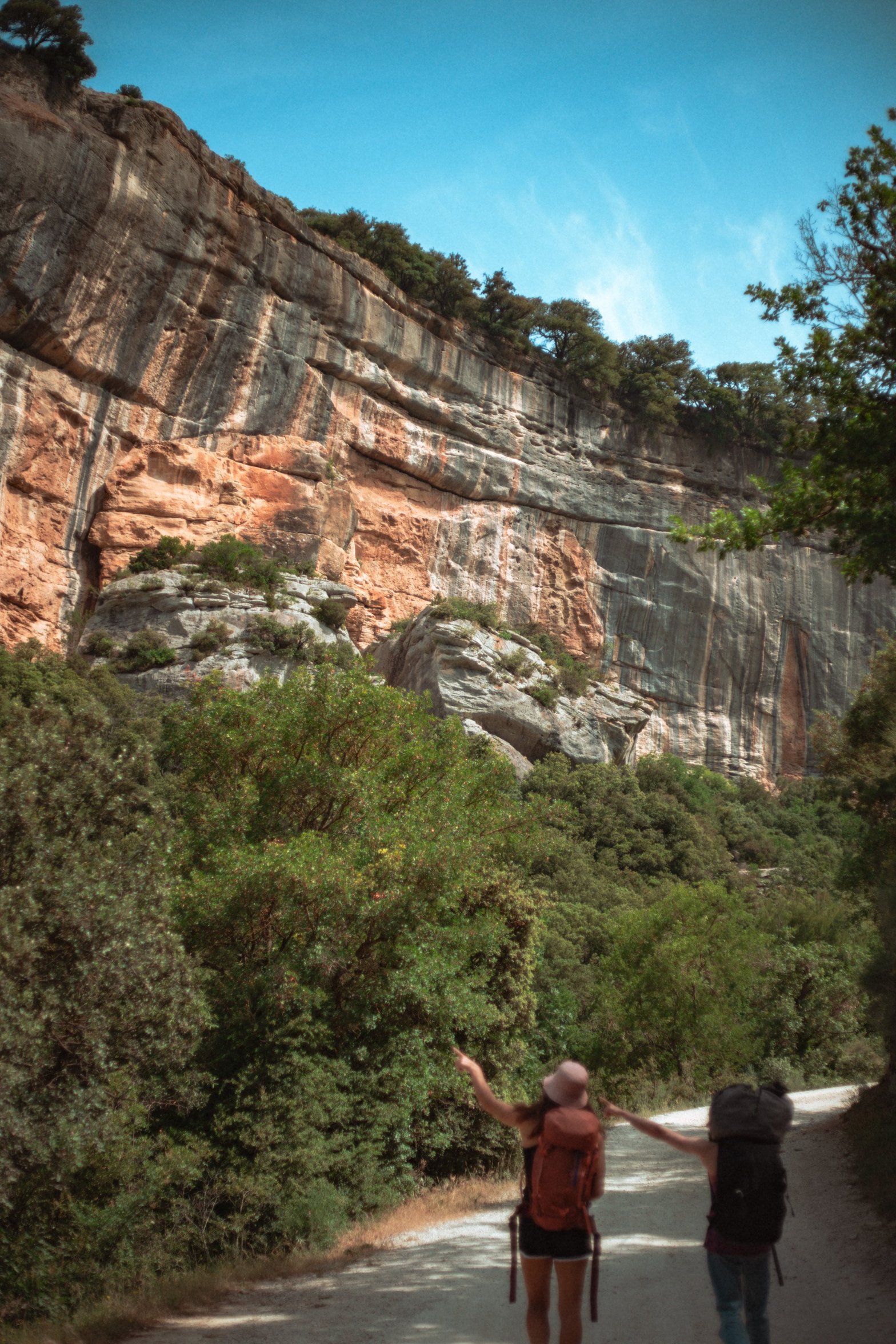 Tu vois là haut le niz d'oiseaux 