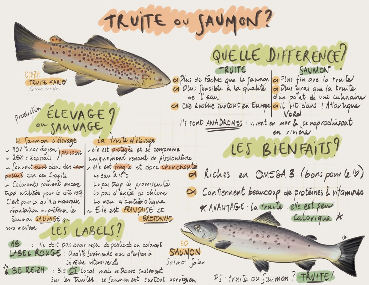 source : https://www.mangeons-local.bzh/truite-ou-saumon/