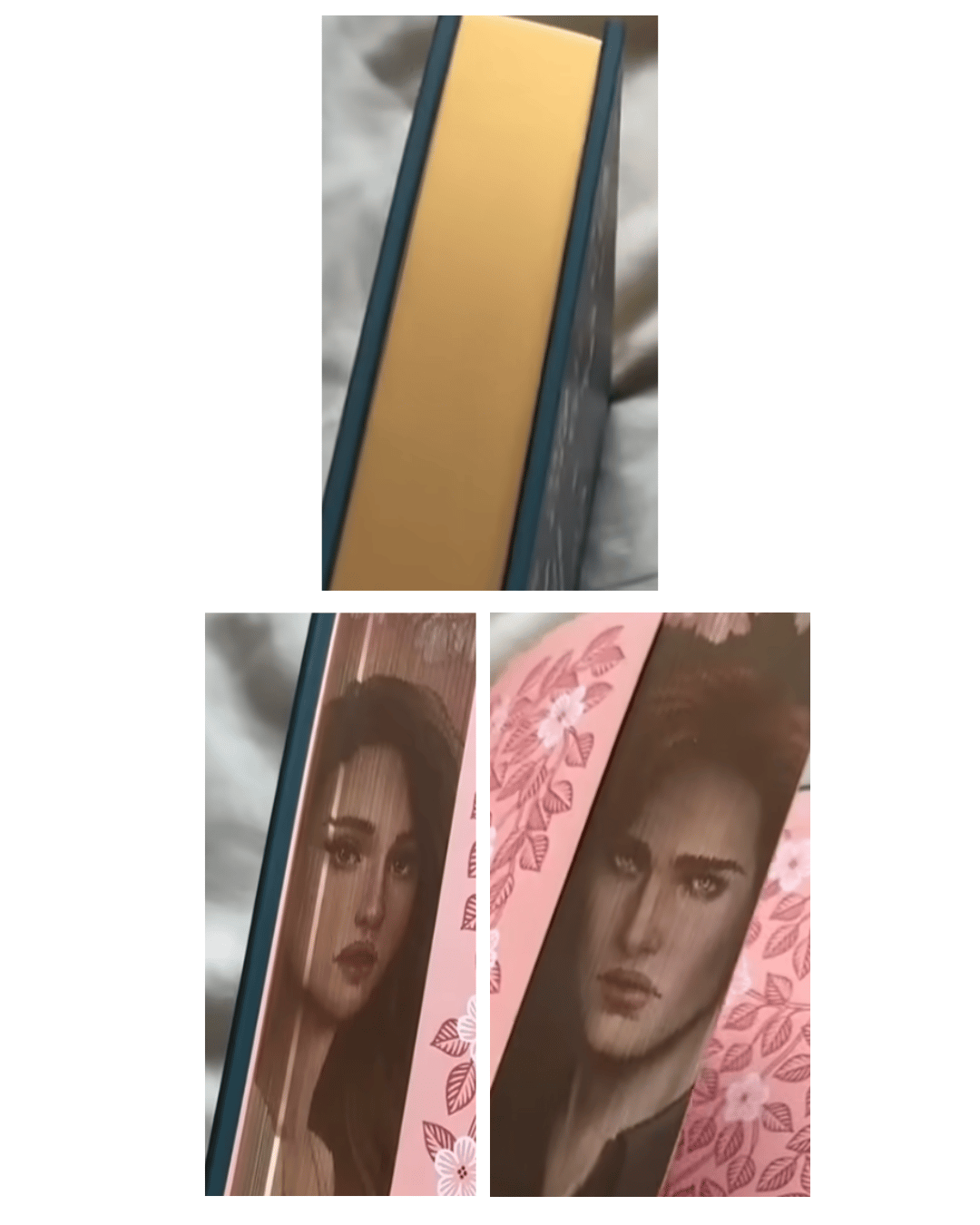 Pour plus de contemporanité, si je puis dire, Hachette a sorti l'année dernière un collector de Twilight qui reproduit ce concept. A gauche Bella, à droite Edward. Je suis team Jacob donc je n'ai pas acheté  (haha). 