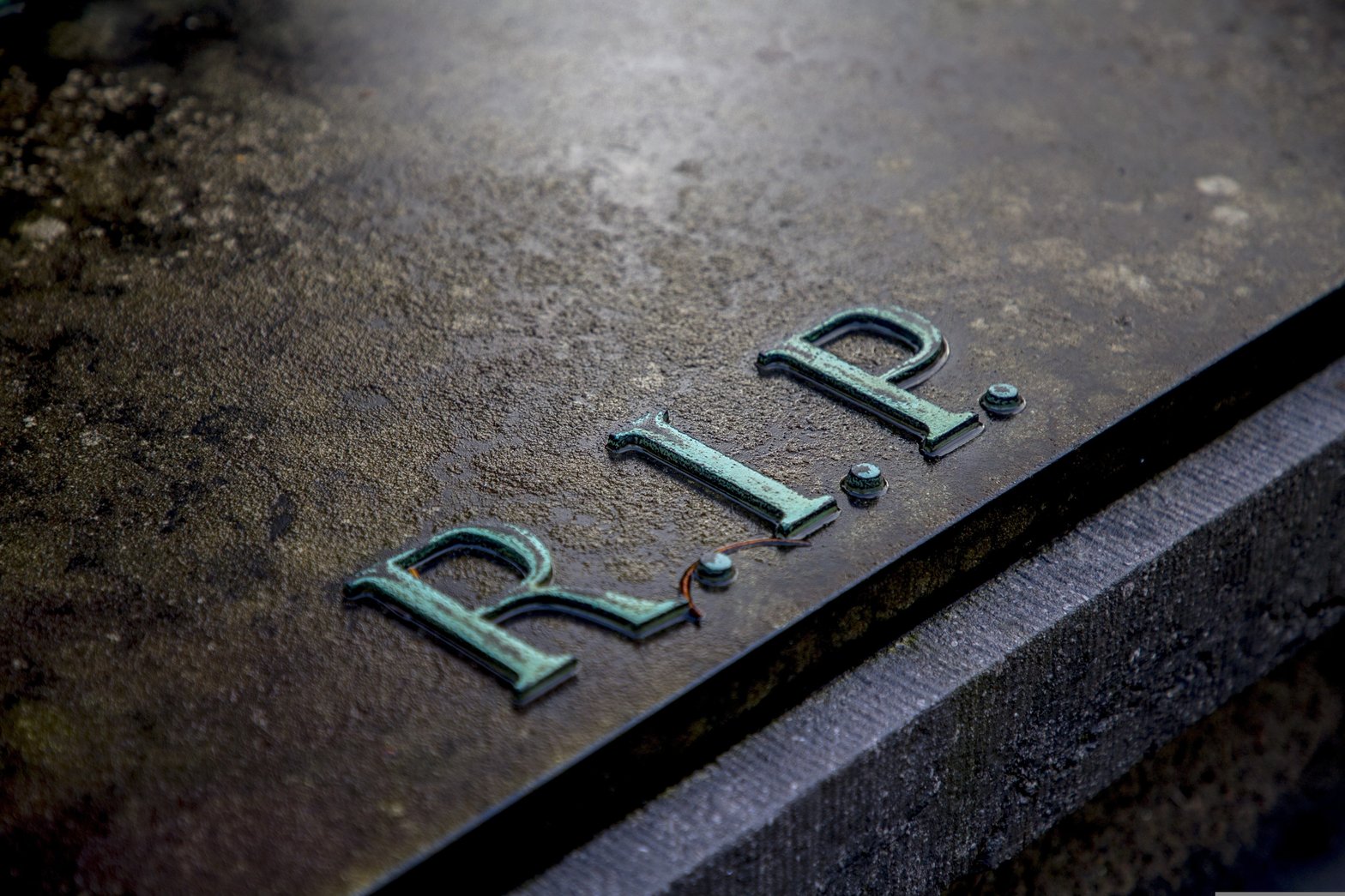 Photo de Rob Van Der Meijden - Pixabay