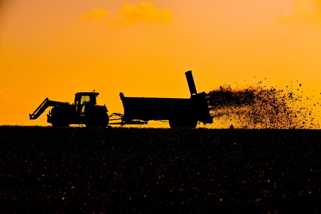Une jolie photo, pas spécialement utilisée pour informer.