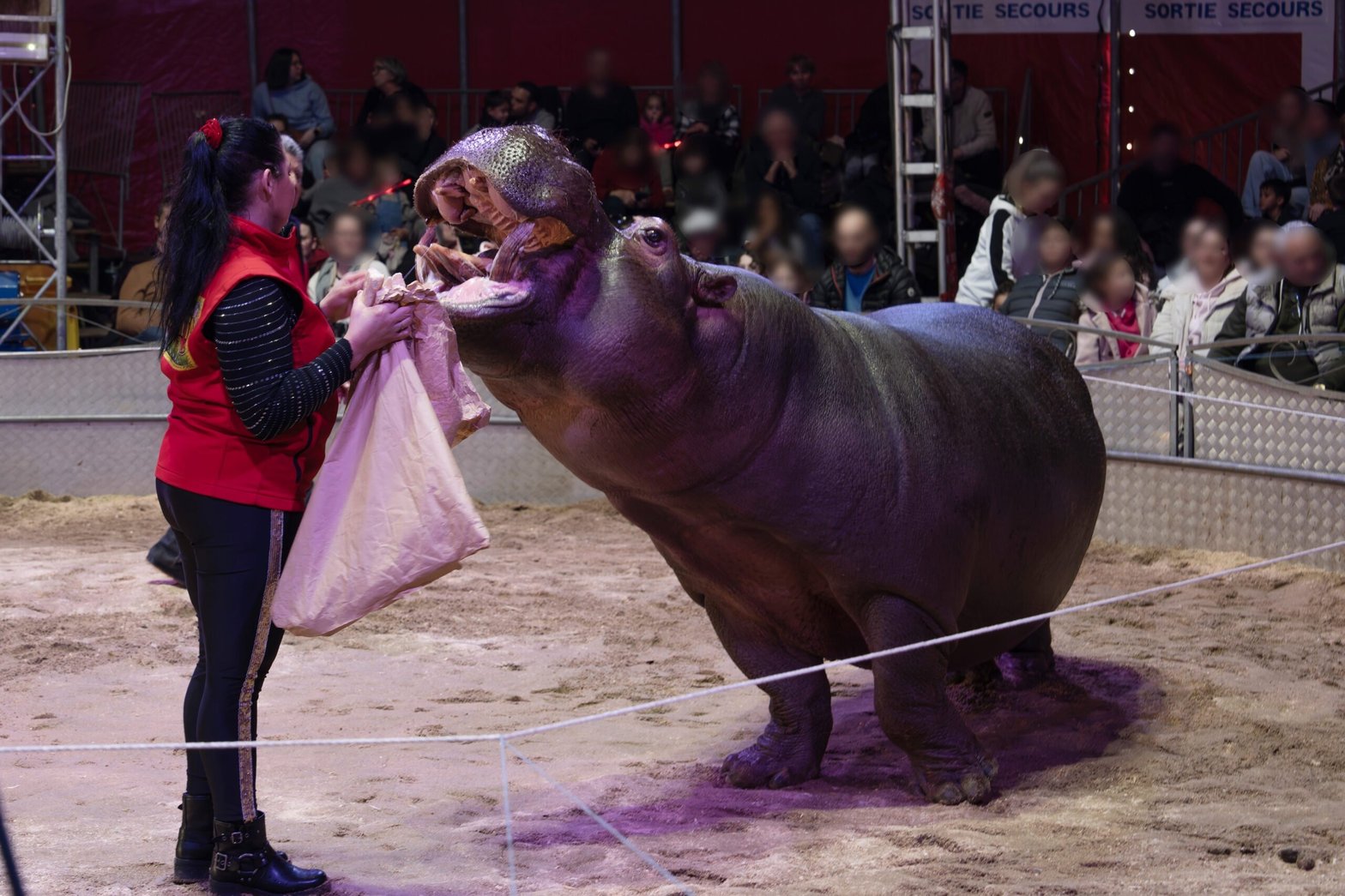 Jumbo, au cirque Muller-Zavatta © One Voice