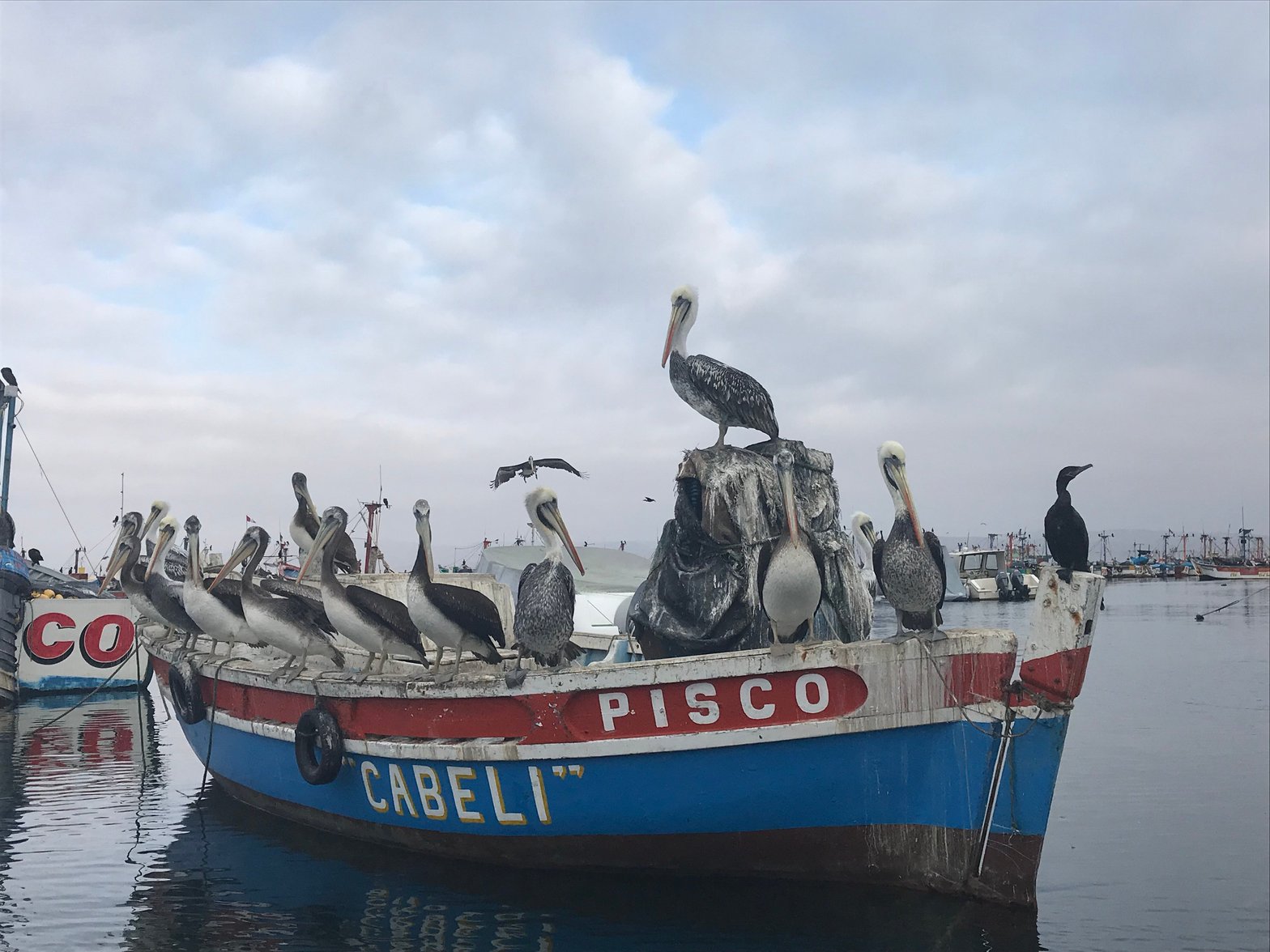 Photo prise au Pérou