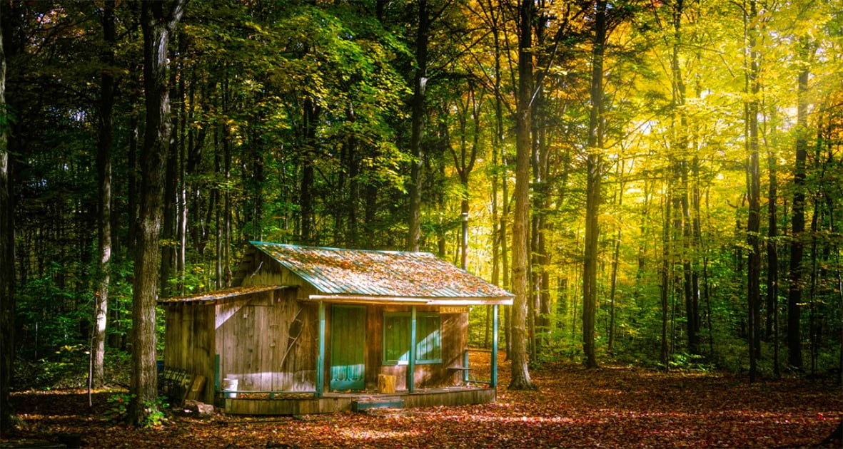 "Cabane" - Concours Québec couleur nature 2021 - ©Richard LABELLE