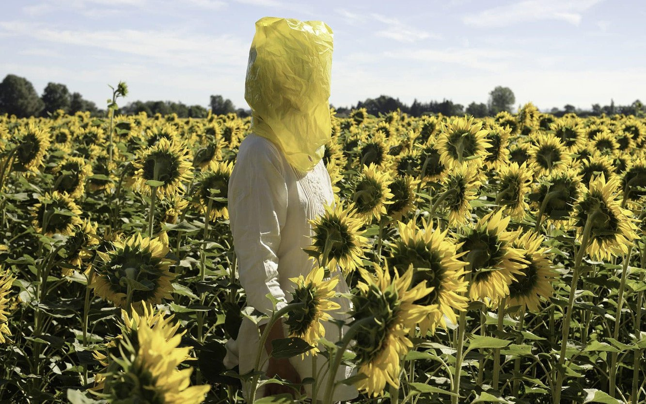 Elina BROTHERU Gelbe Musik with Sunflowers 2016. Photo gbagency ©AdagpParis2025