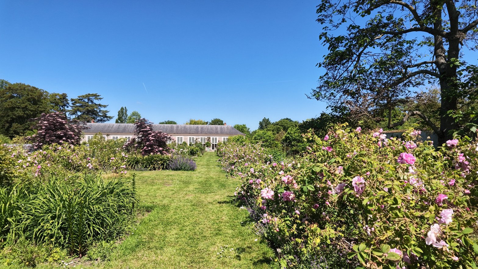 Le jardin du parfumeur