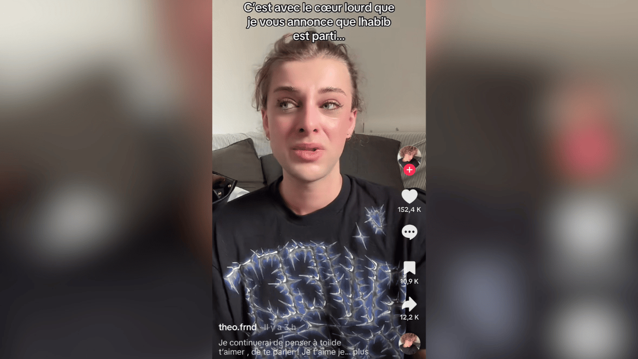 Capture d’écran TikTok / @theooff.frnd