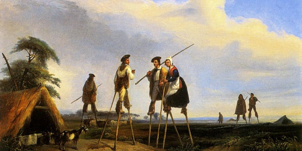 Représentation des Landes de Gascogne en 1830, avant le boisement systématique lancé par Napoléon III, peinture de Jean-Louis Gintrac.