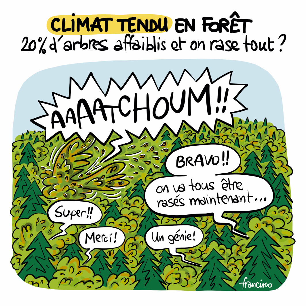 Dessin relayé par Canopée