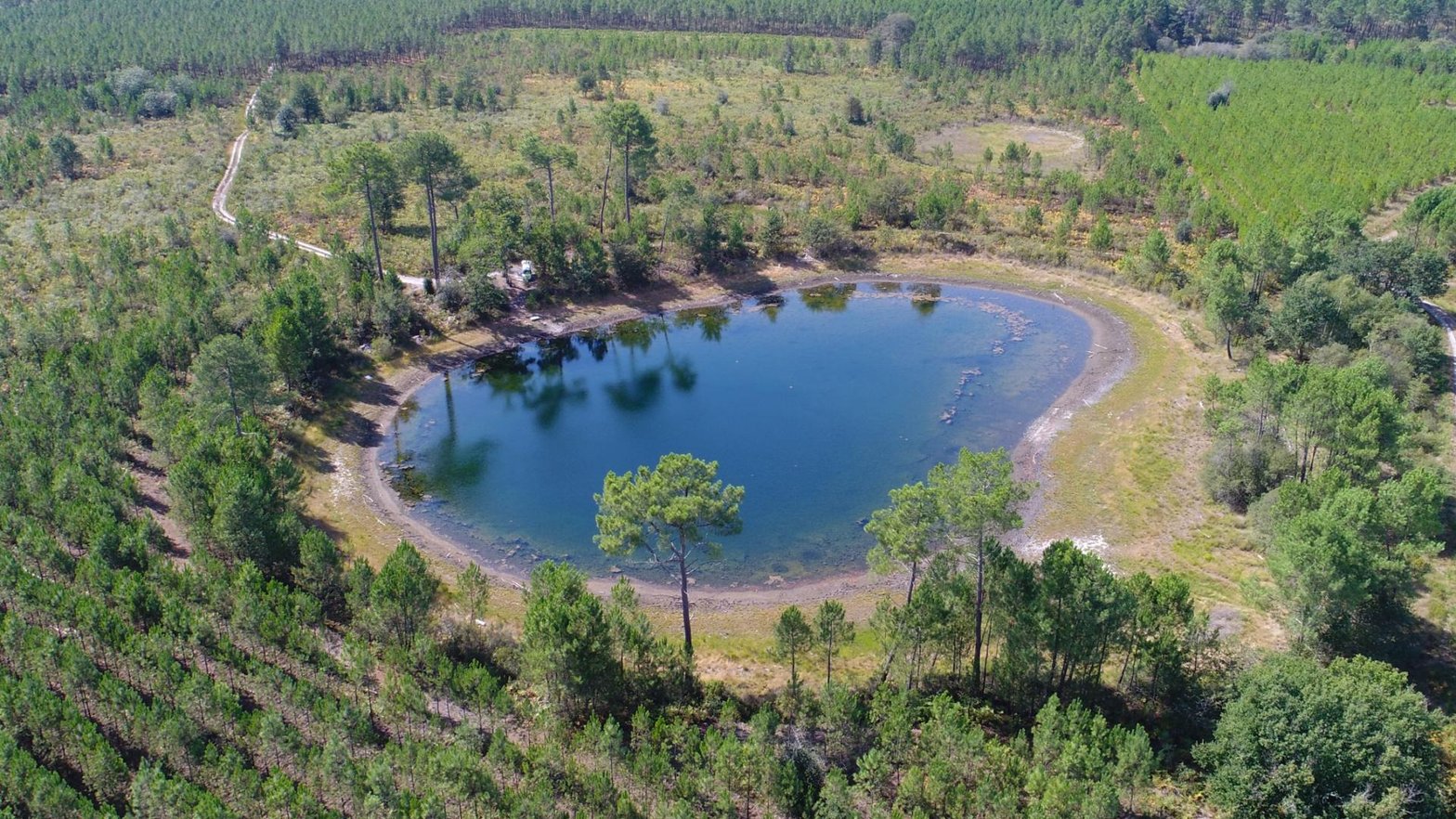 Illustration choisie par le Parc naturel régional des landes de Gascogne pour illustrer un espace protégé Natura 2000.