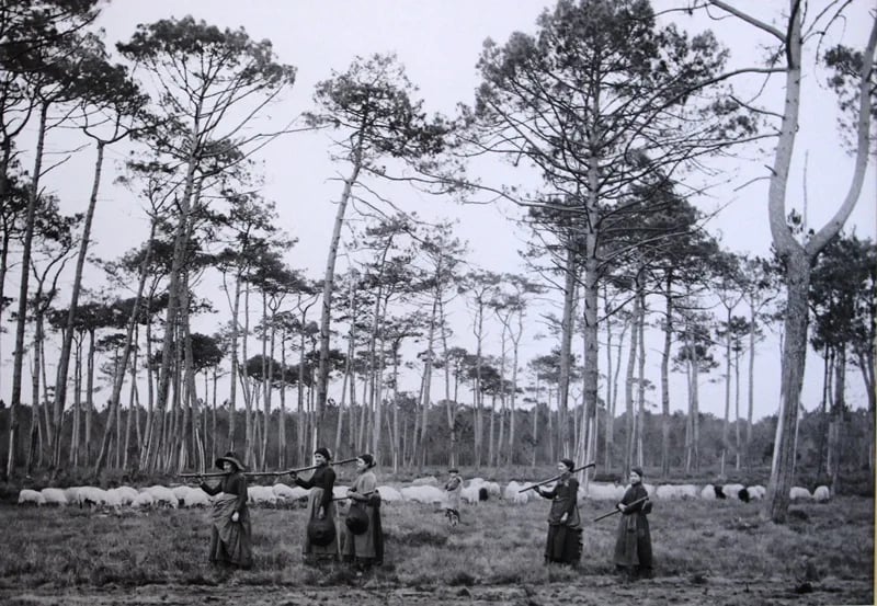 Photo de Félix Arnaudin (1844-1921)