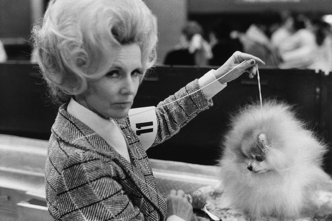 ©Elliott Erwitt, Dogs