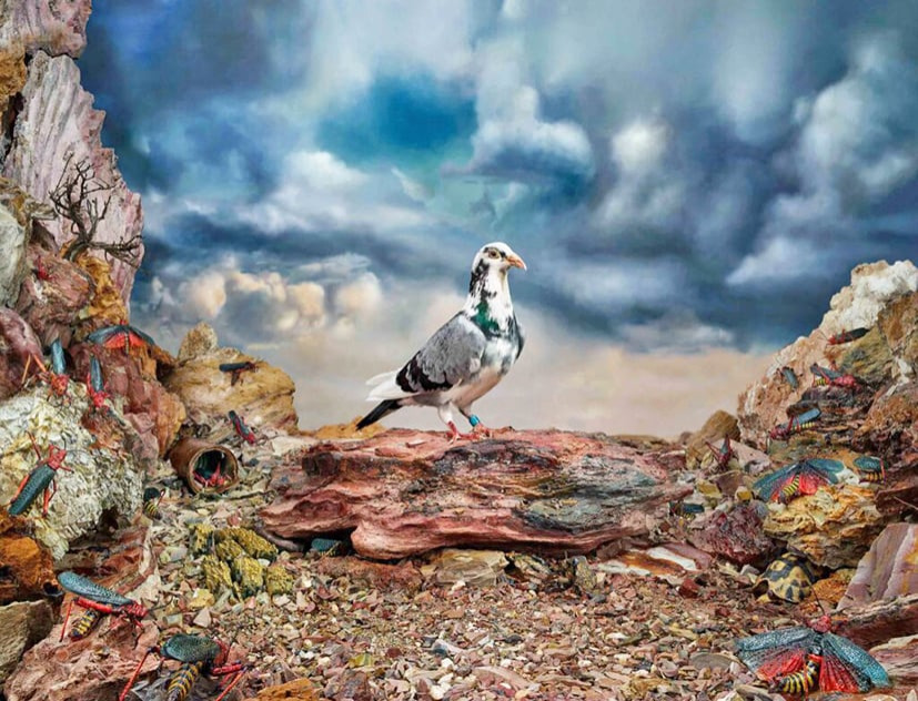 ©Daniel Naudé - Afrique du Sud