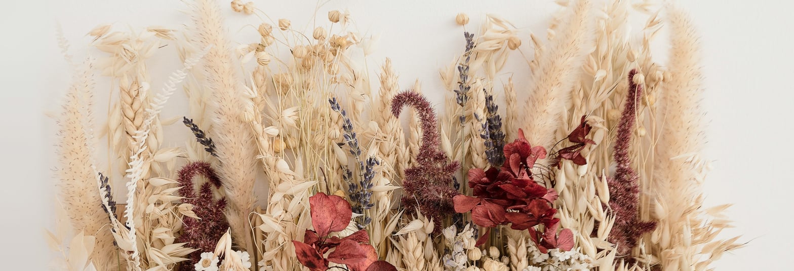©Katia Jazwinska Unsplash